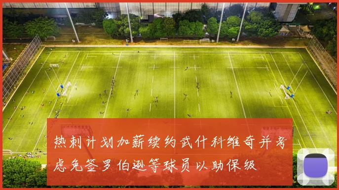热刺计划加薪续约武什科维奇并考虑免签罗伯逊等球员以助保级